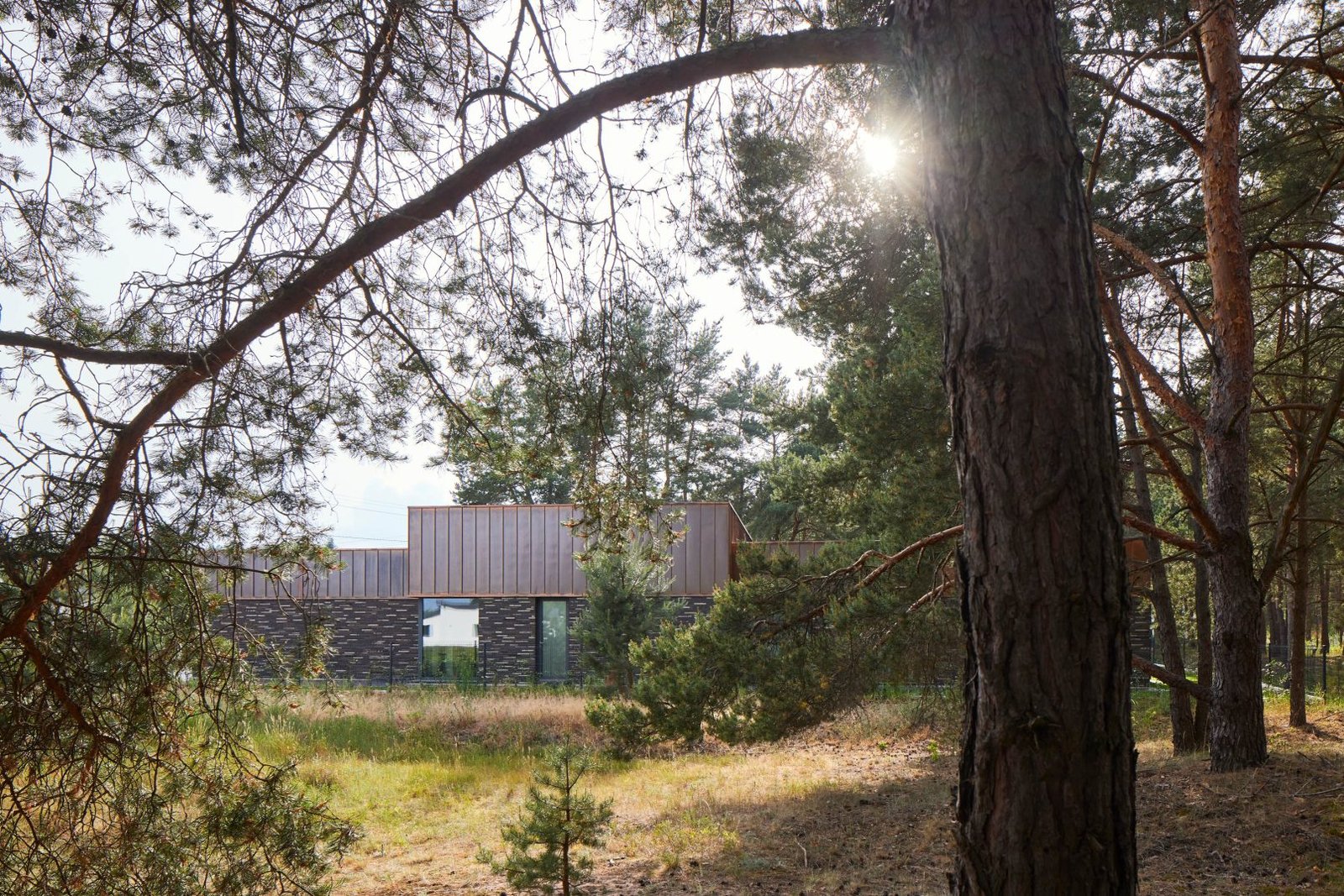 Silelis nebrau house 01