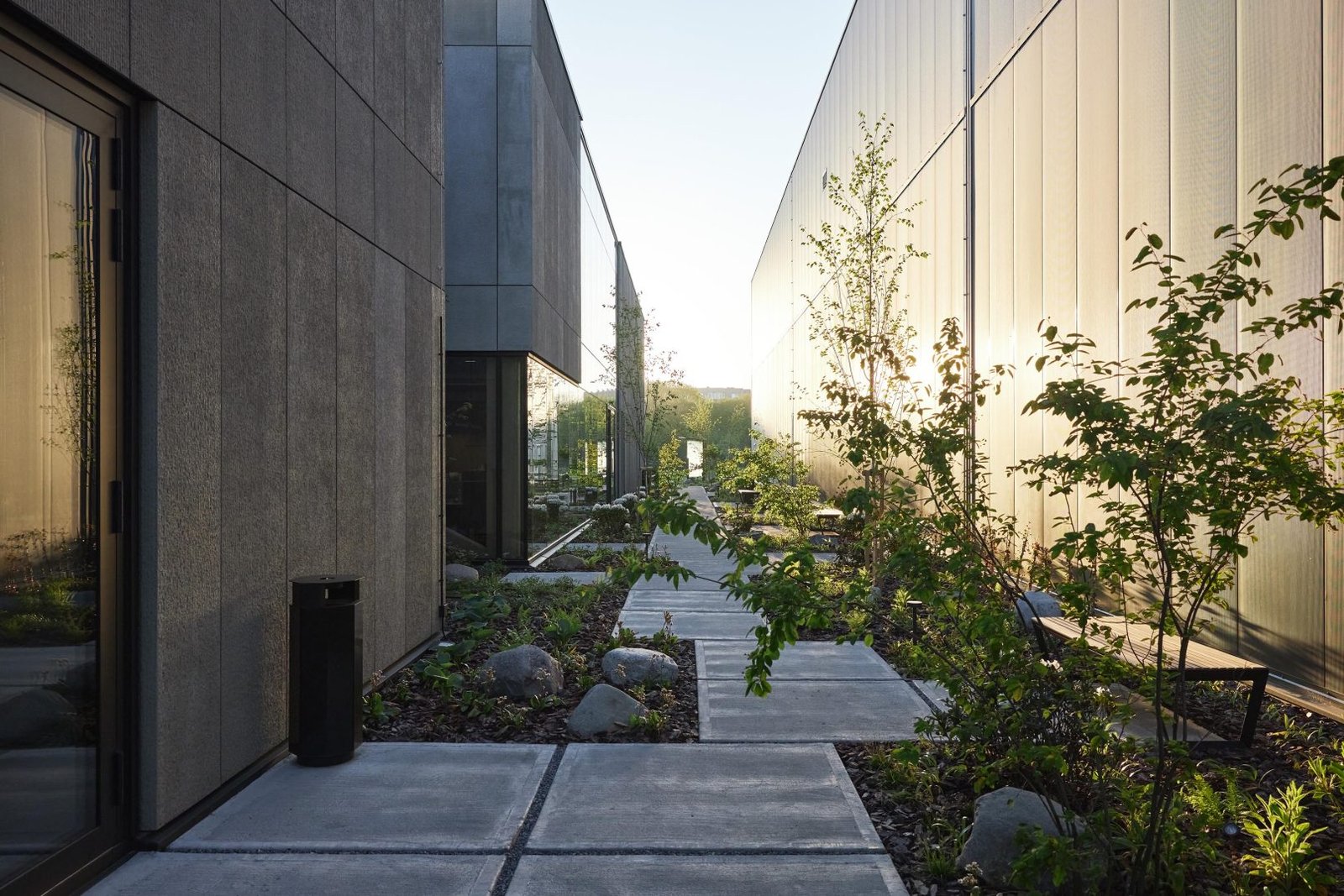 Nebrau KTG Minija 0020