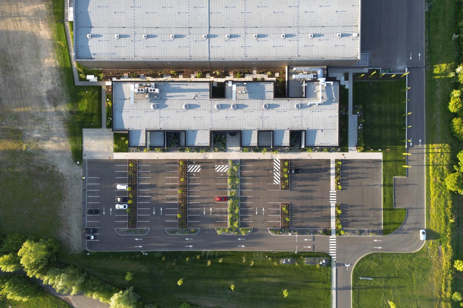 Nebrau KTG Minija 003