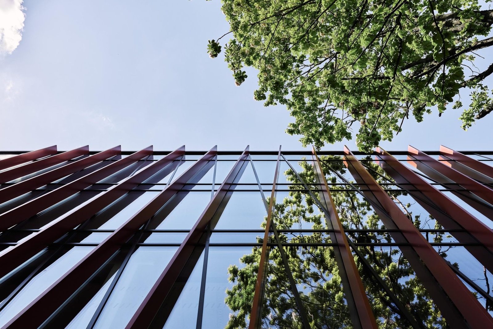 14 Nebrau Ugnes Karvelis