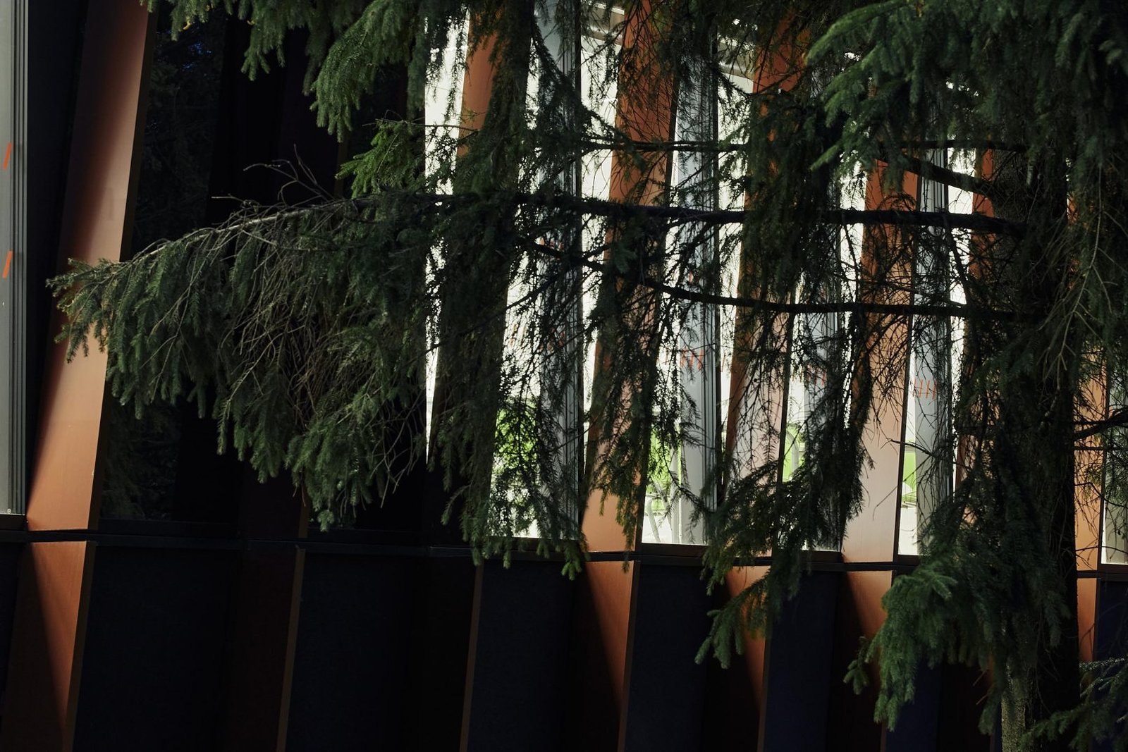 4 Nebrau Ugnes Karvelis