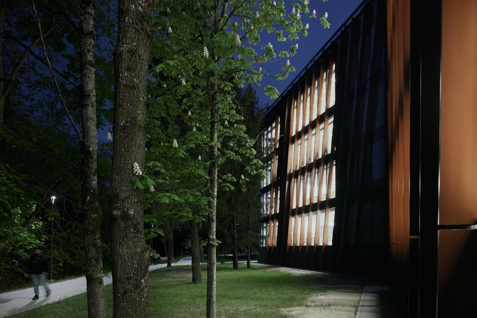 6 Nebrau Ugnes Karvelis