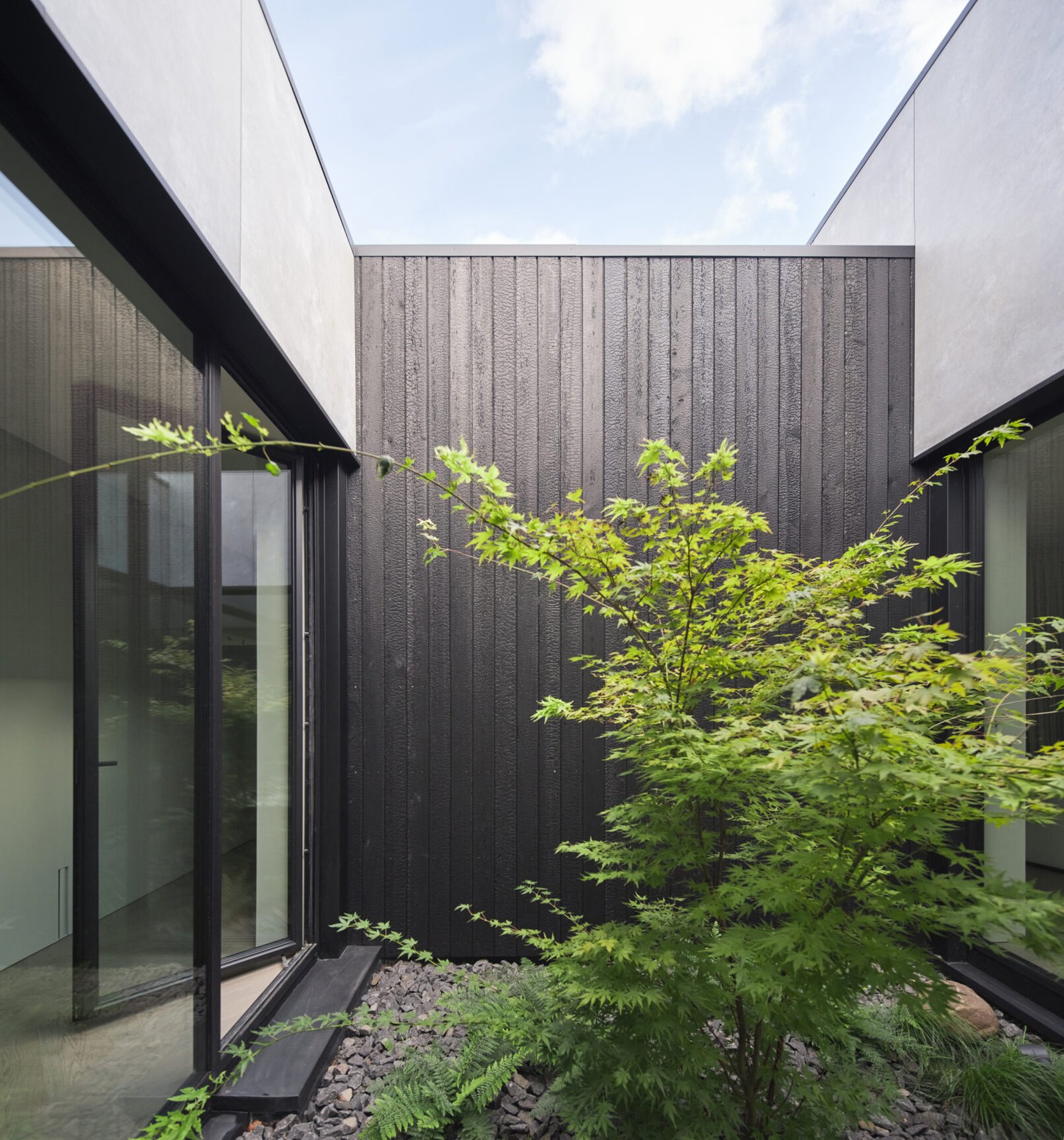 12 Black Wood House