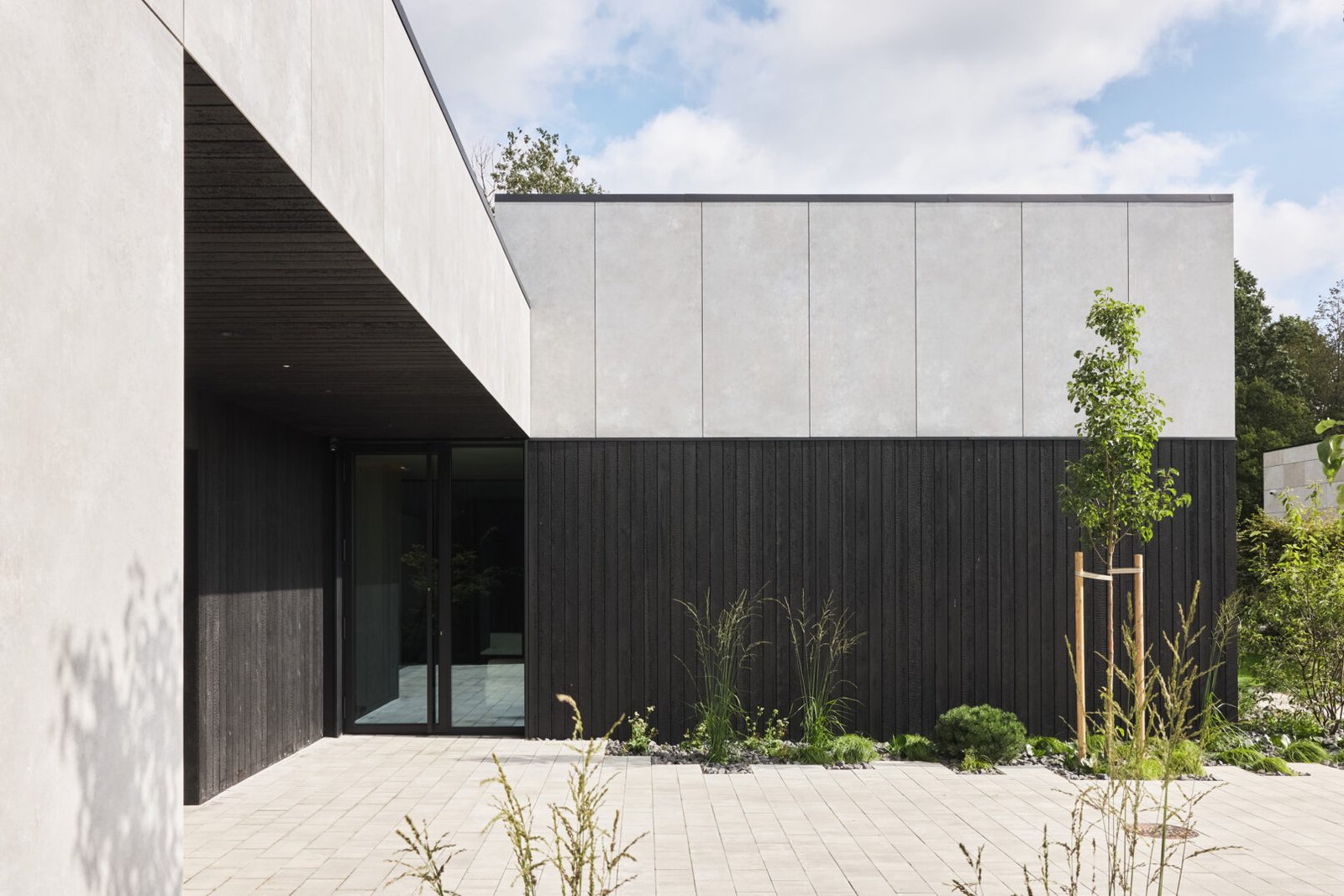 8 Black Wood House